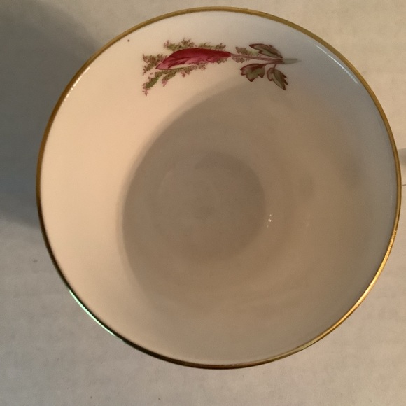 Royal Chelsea Bone China Teacup & Saucer Moss Ross - Picture 9 of 13
